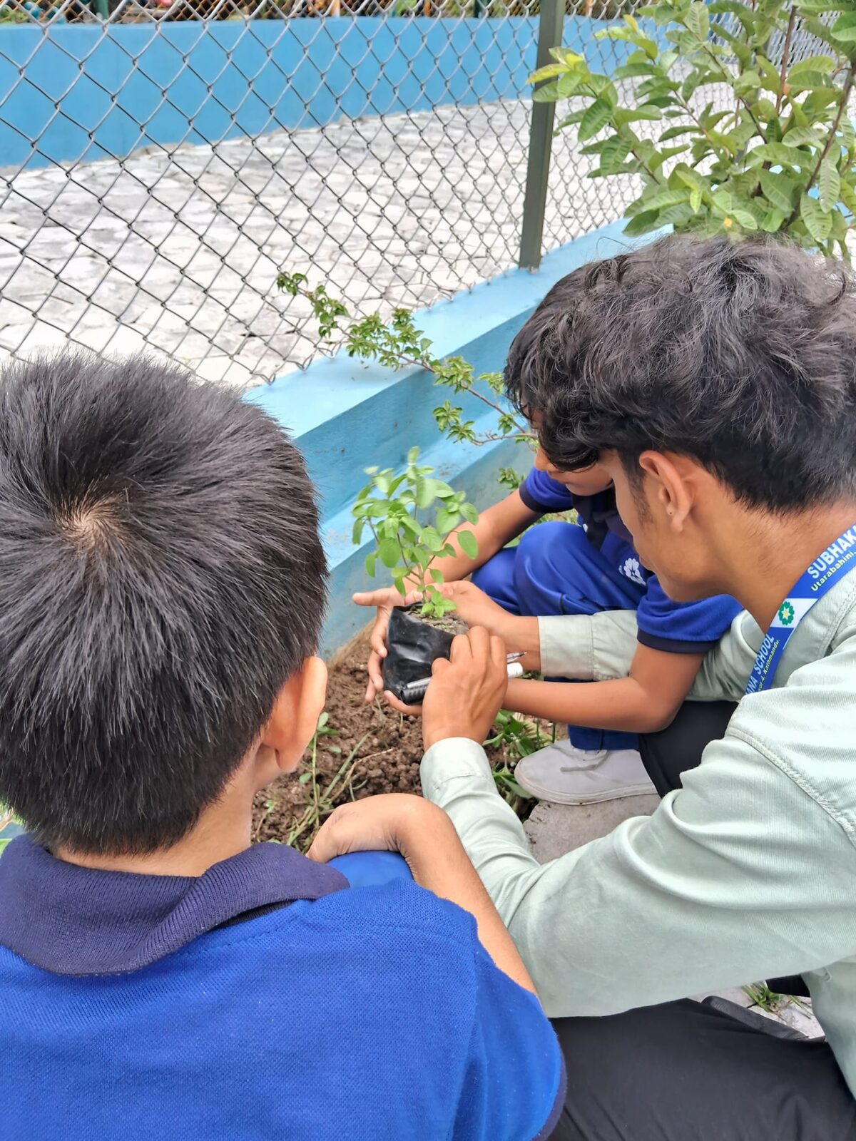 Save the Environment